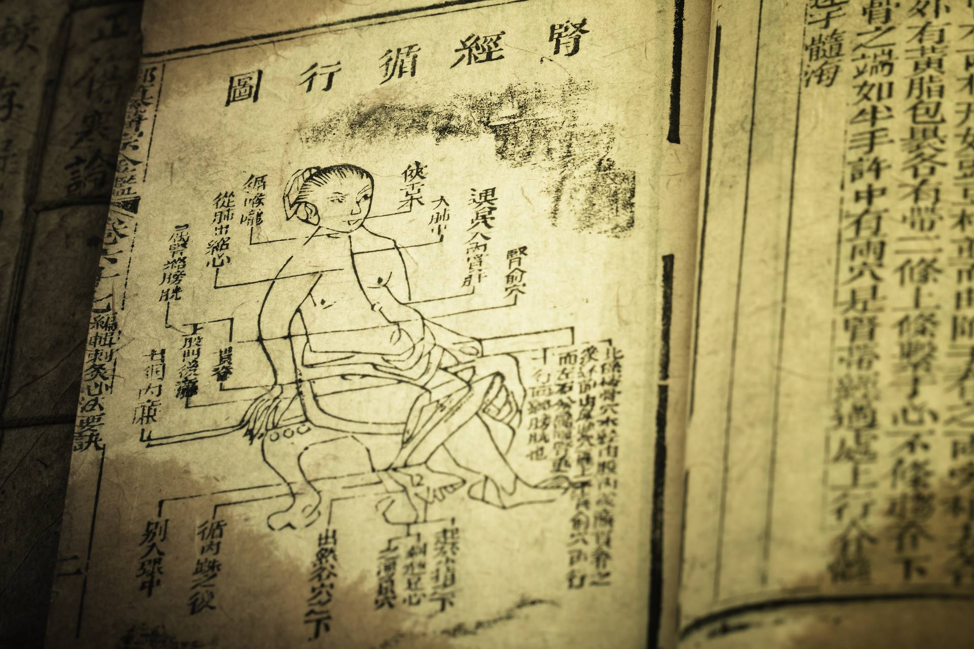 History Of Tcm And Traditional Chinese Medicine